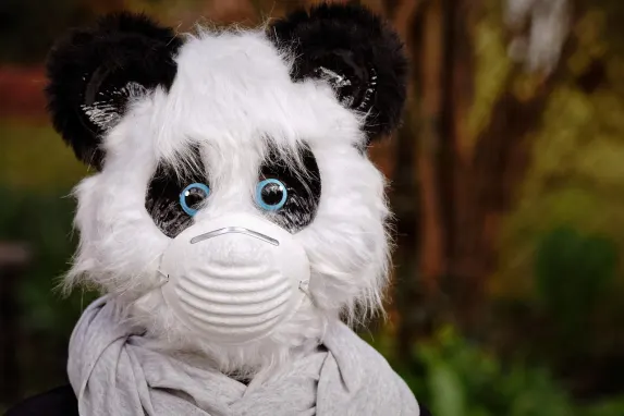 Vegadream Casino Suporte